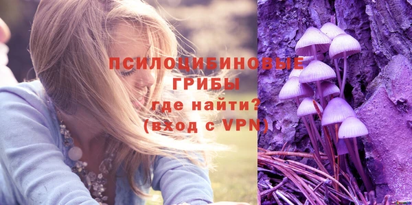 бошки Алексеевка