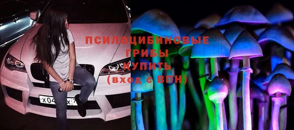 spice Алексин