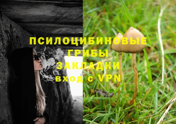 бошки Алексеевка